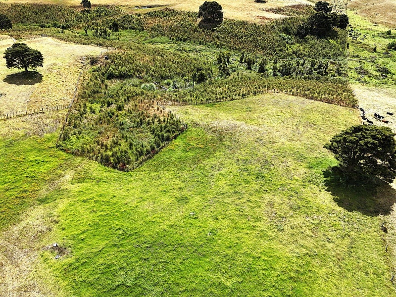 0 Parore West Rd, Parore, Dargaville - Carousel 13