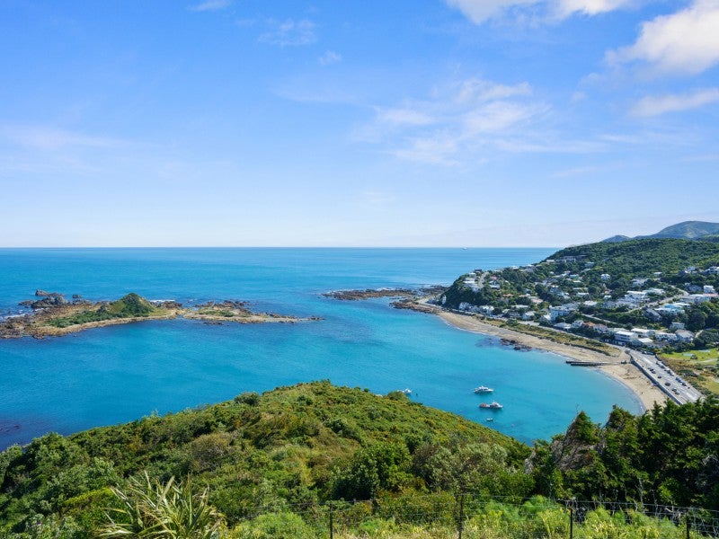 12 Earn Place, Southgate, Wellington - Carousel 16