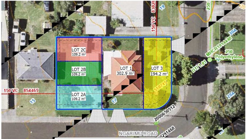 17 Ngarimu Road, Panmure, Auckland - Carousel 2