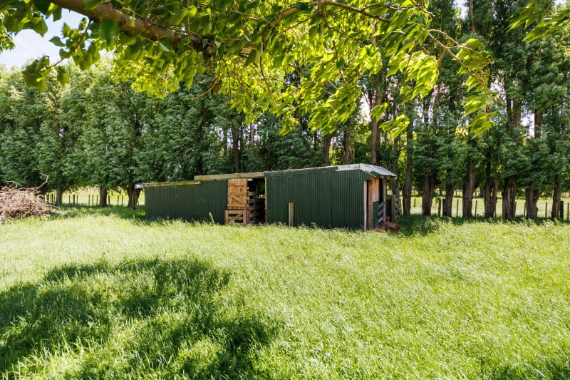 1999 Longburn Rongotea Road, Longburn, Palmerston North - Carousel 50