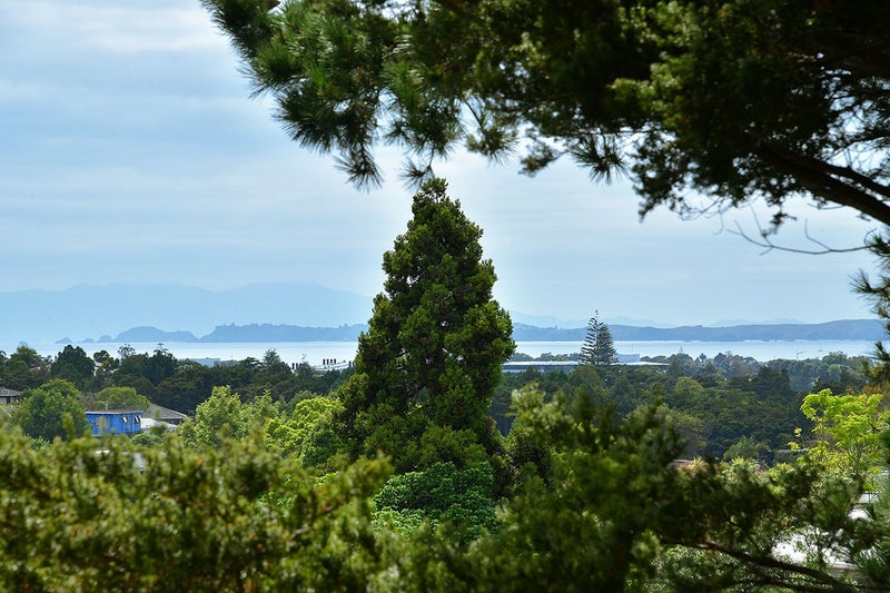 6 Tranquil Glade, Hillcrest, Auckland - Carousel 1