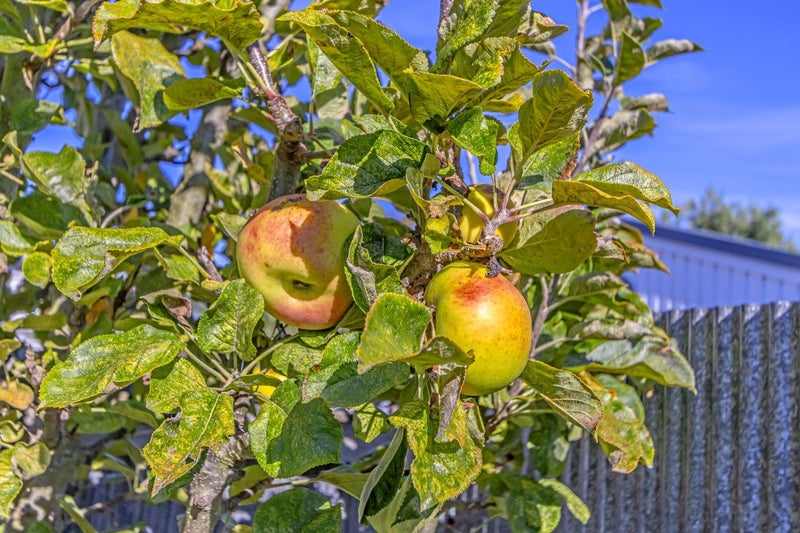 267 Weston Road, Mairehau, Christchurch - Carousel 15