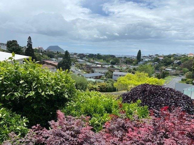 57 Whitaker Street, Otumoetai, Tauranga - Carousel 28