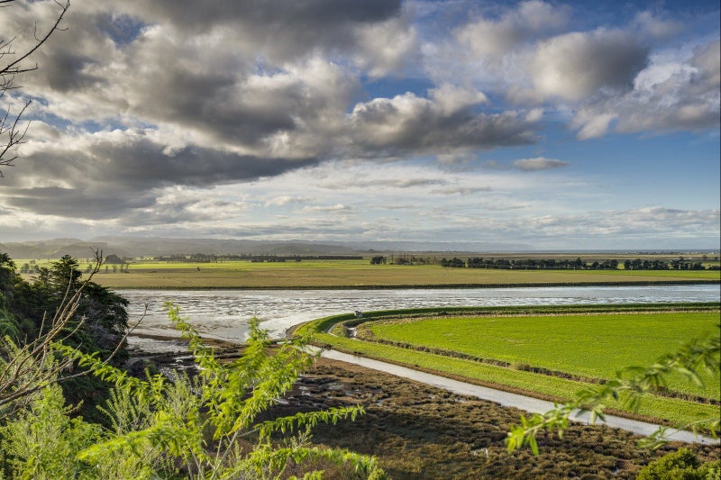 64A Nilgiri Road, Poraiti, Napier - Carousel 1