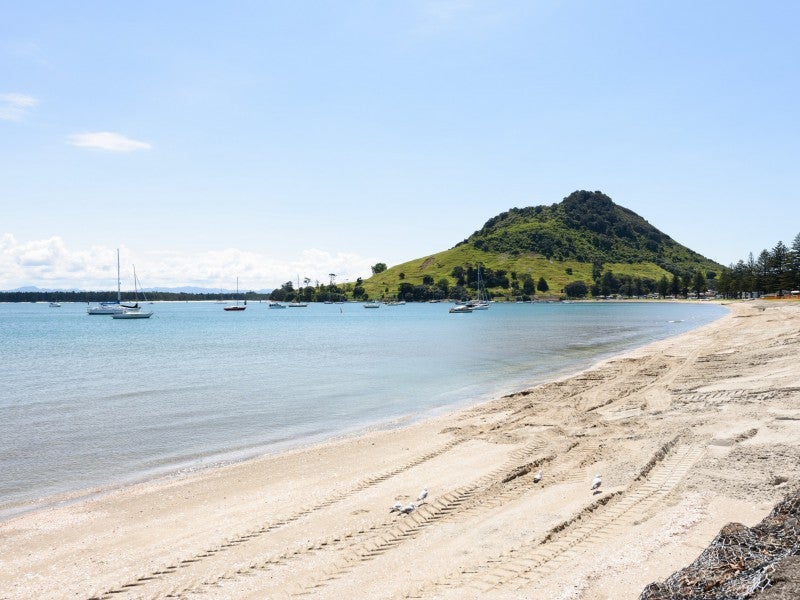 D/34 MAUNGANUI ROAD, Mount Maunganui, Tauranga - Carousel 17