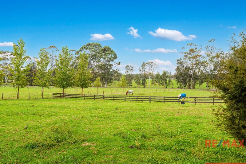 50 Draffin Road, Whangarei - Carousel 23
