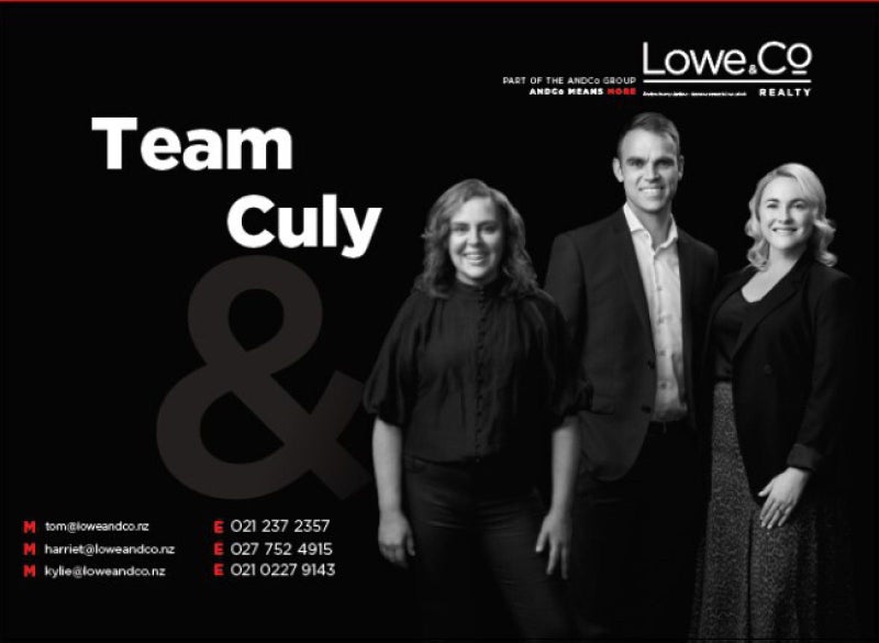 154 Owen Street, Newtown, Wellington - Carousel 15