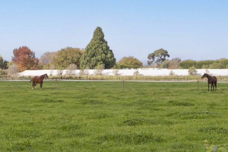 6 Johns Road, Jervoistown, Napier - Carousel 2