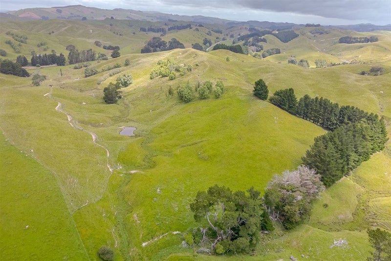 423 North Road, Masterton - Carousel 23