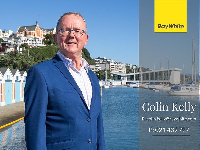 1/3 Aro Street, Aro Valley, Wellington - Carousel 15