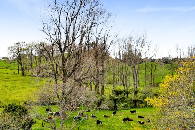 349 Tukapa Street, Hurdon, New Plymouth - Carousel 1