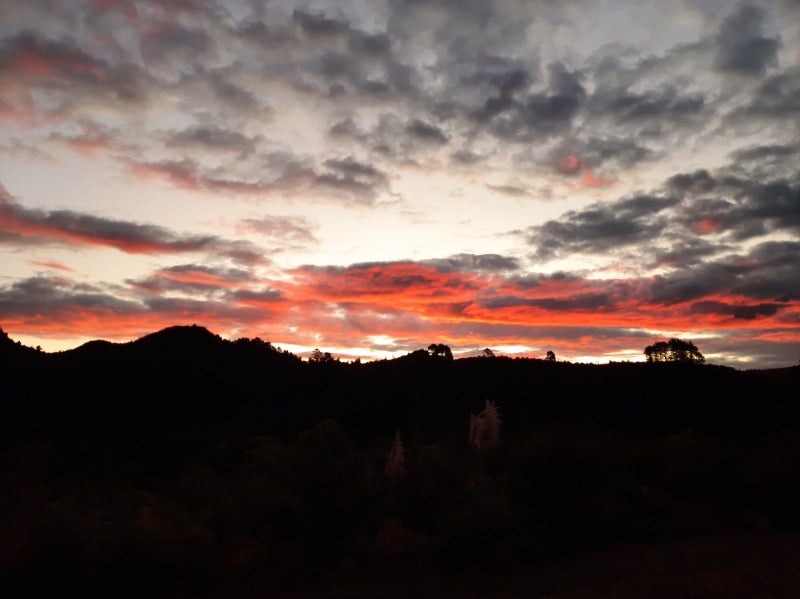 130B Silverstream Falls Row, Whenuakite, Whitianga - Carousel 20