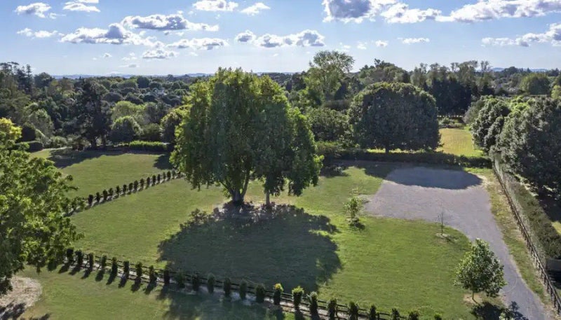 49D Rosebanks Drive, Hamilton - Carousel 7