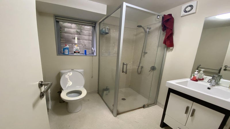 3G Papawai Terrace, Mount Cook, Wellington - Carousel 12