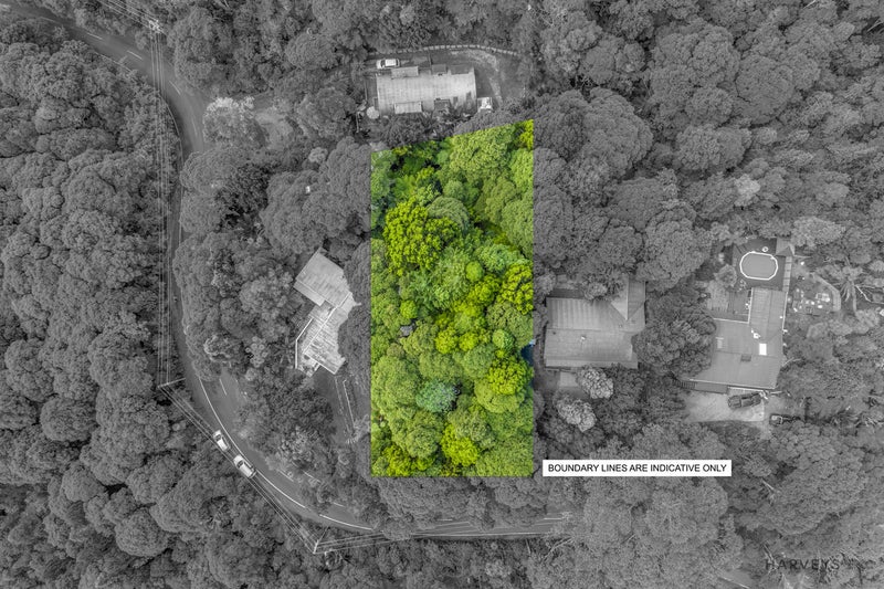 82 Mountain Road, Henderson Valley, Auckland - Carousel 2