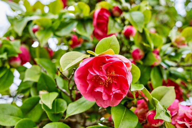 185 Taita Drive, Avalon, Lower Hutt - Carousel 15