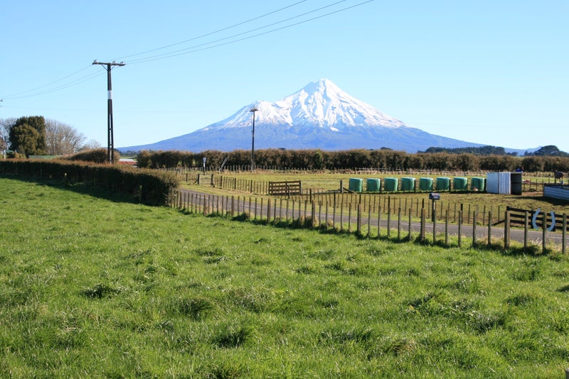 281 Climie Road, Ngaere - Carousel 21