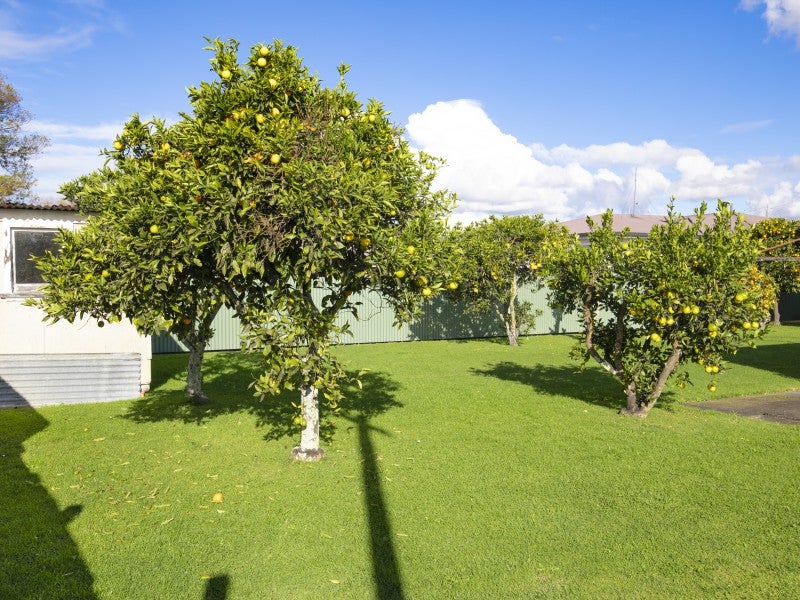 12 Shackleton Street, Maraenui, Napier - Carousel 24