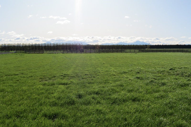 18 Westview Drive, Tinwald, Ashburton - Carousel 1