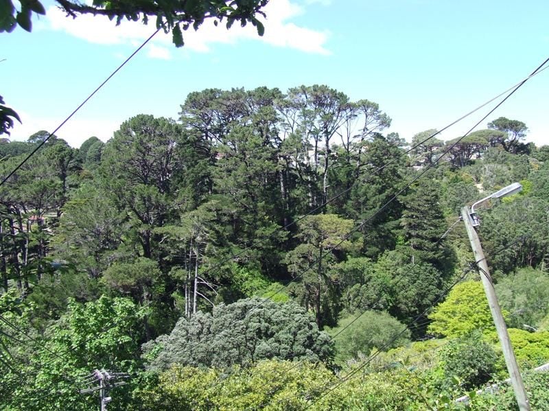 4/71 Garden Road, Northland, Wellington - Carousel 9