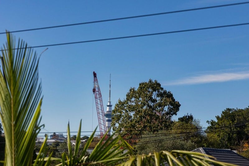 3 Moira Street, Ponsonby, Auckland - Carousel 28