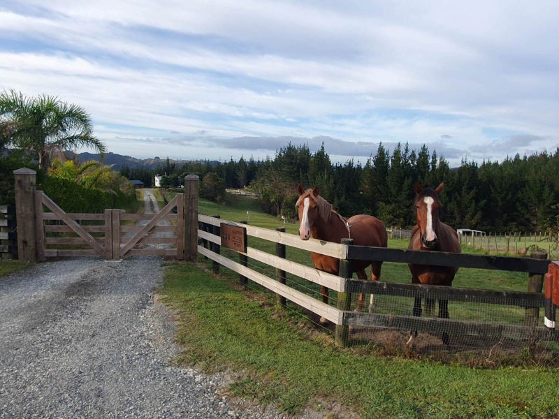 228 Martin Access Road, Makarau, Warkworth - Carousel 16