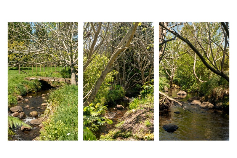 63A Rea Road, Katikati - Carousel 37