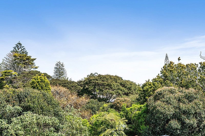 42 Paramu Avenue, Birkdale, Auckland - Carousel 27
