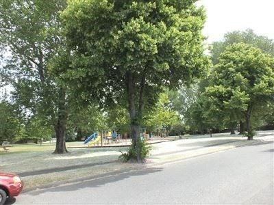 25 Haynes Avenue, Upper Riccarton, Christchurch - Carousel 20