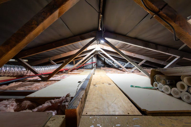 11 Jellicoe Place, Tamatea, Napier - Carousel 23