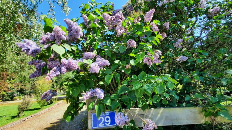 29 Coghill Road, Waitahuna, Lawrence - Carousel 37