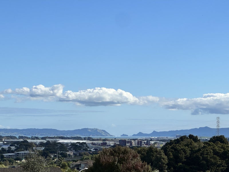 12 Melia Grove, Goodwood Heights, Auckland - Carousel 2