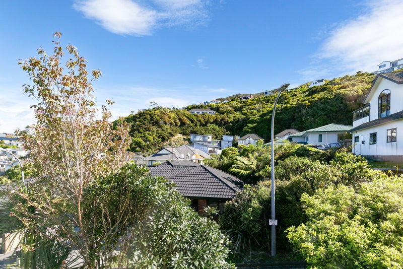 14 Marjory Close, Broadmeadows, Wellington - Carousel 20