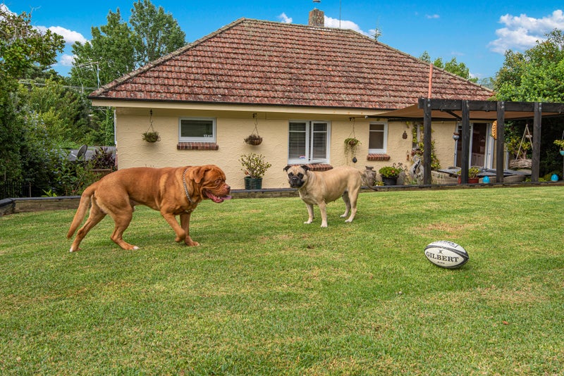 15 Russell Road, Kensington, Whangarei - Carousel 31