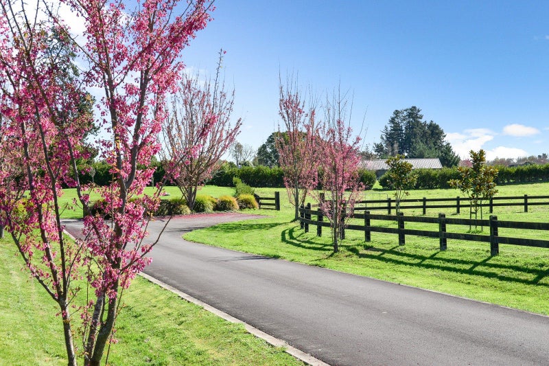 27C Hodge Drive, Tamahere - Carousel 10