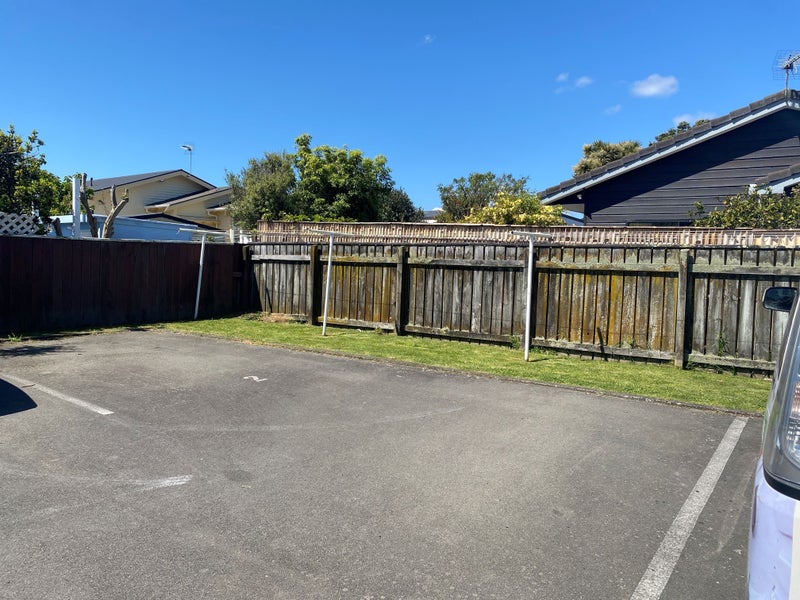 2/3 MANCHESTER ST, Petone, Lower Hutt - Carousel 13