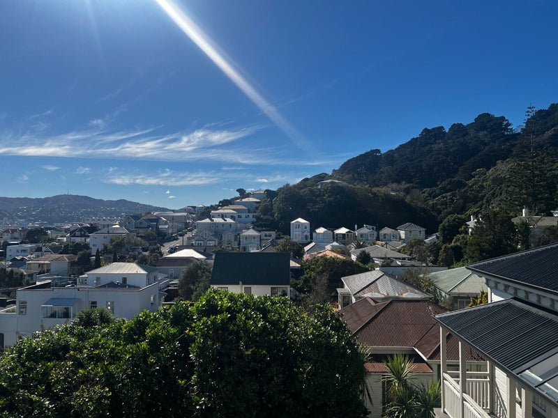 113 Pirie Street, Mount Victoria, Wellington - Carousel 19