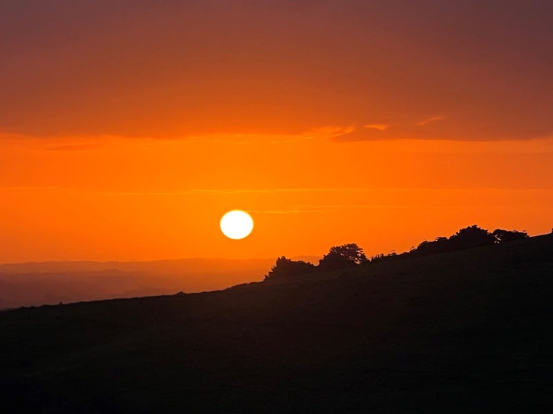 401A Peach Hill Road, Ramarama, Drury - Carousel 38