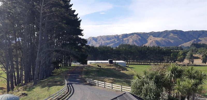 218 Pukenamu Road, Te Horo - Carousel 26
