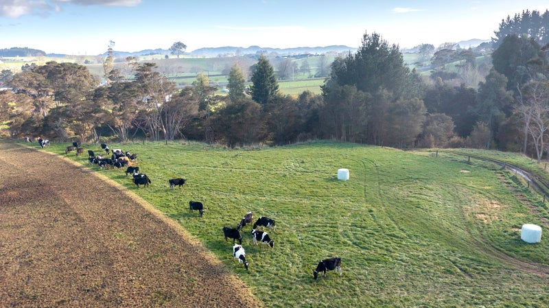 893 Horotiu Road, Te Kowhai - Carousel 25