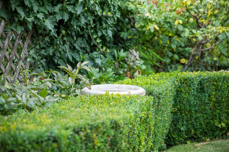 23 Severne Street, Yelverton, Blenheim - Carousel 35