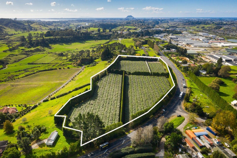 888 State Highway 29, TAURIKO, TAURANGA - Carousel 2