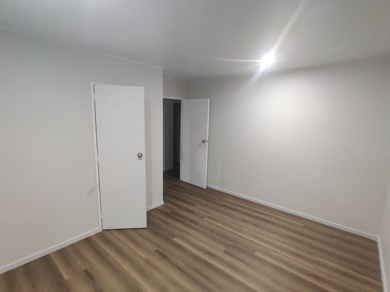 43A Hall Avenue, Otahuhu, Auckland - Carousel 1