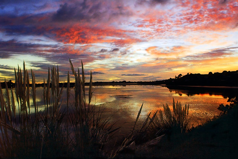 118 College Place, Poike, Tauranga - Carousel 25