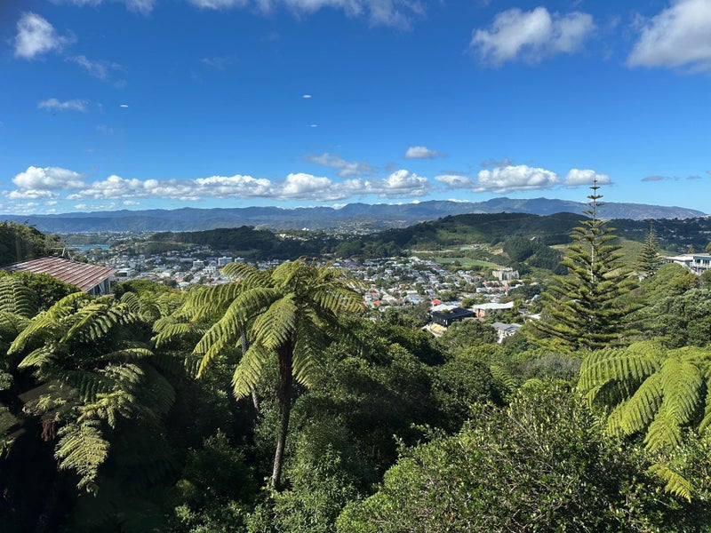 167 The Ridgeway, Mornington, Wellington - Carousel 2