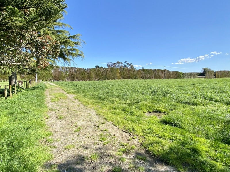 207 Black Road, Te Puke - Carousel 22