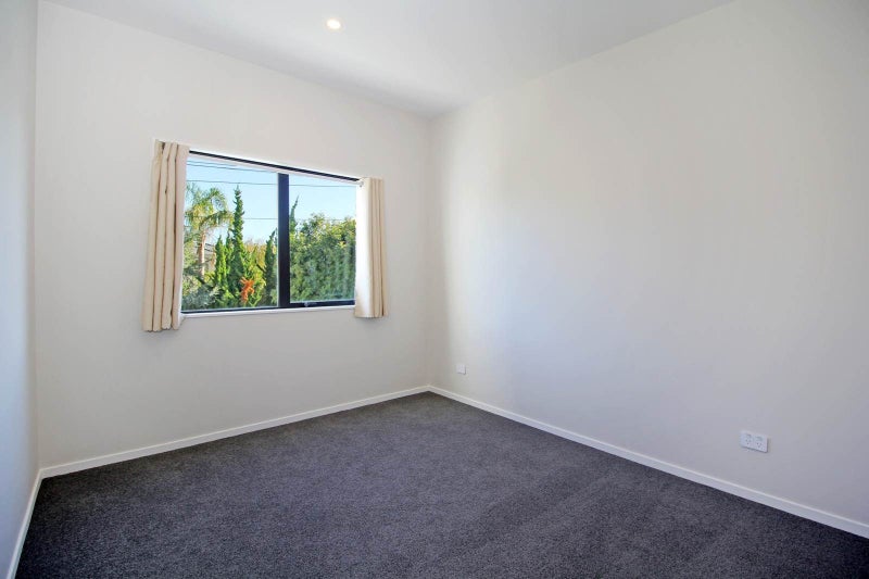 1B Kawau Road, Greenlane, Auckland - Carousel 10