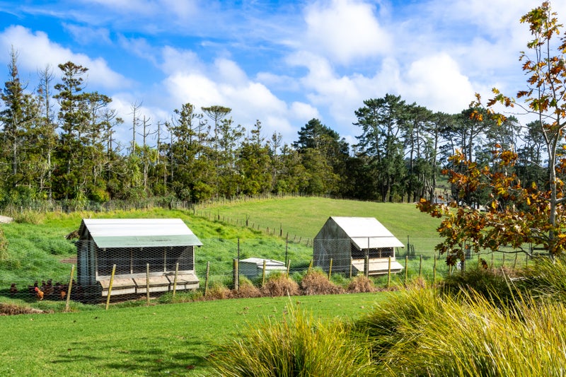 220 Trigg Road, Kumeū - Carousel 30