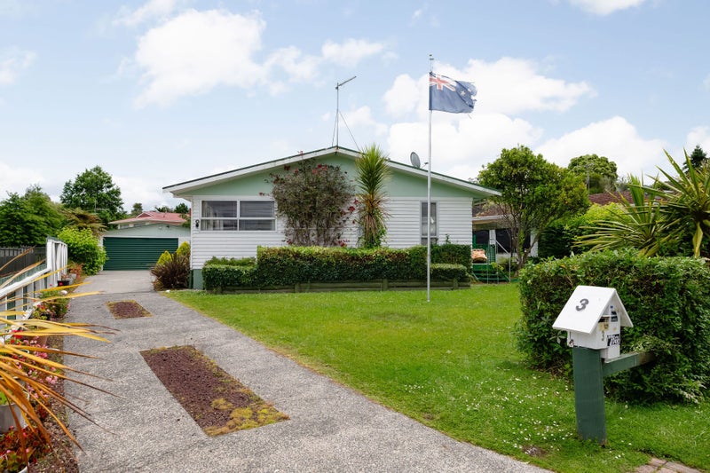 3 Rothesay Place, Dinsdale, Hamilton - Carousel 2