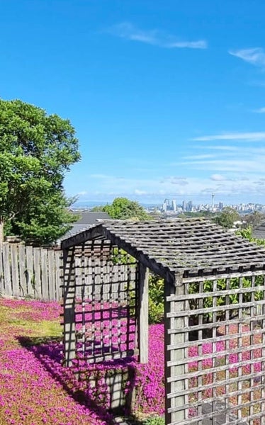 51 Chelsea View Drive, Chatswood, Auckland - Carousel 9